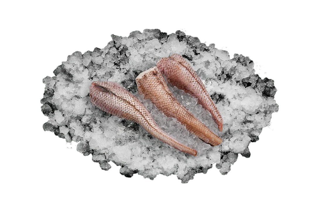 Бротола